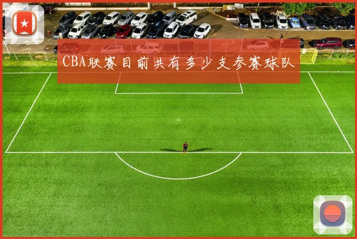 CBA联赛目前共有多少支参赛球队