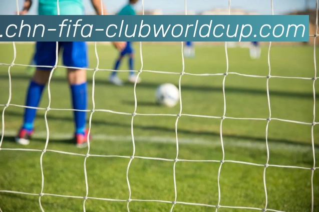 世界杯买球平台生态图