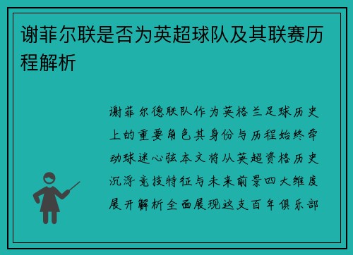 谢菲尔联是否为英超球队及其联赛历程解析