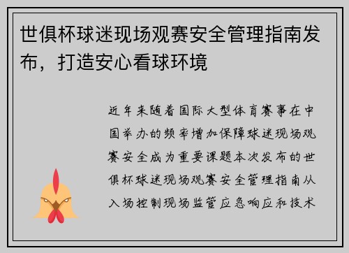 世俱杯球迷现场观赛安全管理指南发布，打造安心看球环境