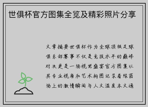 世俱杯官方图集全览及精彩照片分享